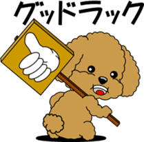 Cute toy poodle dog sticker #6476427
