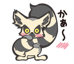 Fluffy ring-tailed lemur sticker #6476997