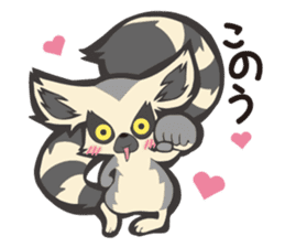 Fluffy ring-tailed lemur sticker #6477001