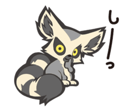 Fluffy ring-tailed lemur sticker #6477003