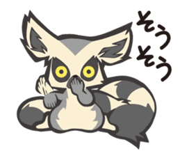 Fluffy ring-tailed lemur sticker #6477005
