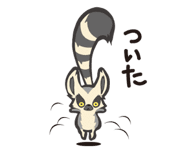 Fluffy ring-tailed lemur sticker #6477008