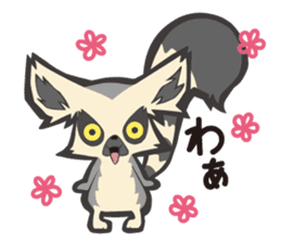 Fluffy ring-tailed lemur sticker #6477030