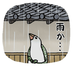 Furoshiki Buncho sticker #6484196