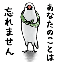 Furoshiki Buncho sticker #6484230