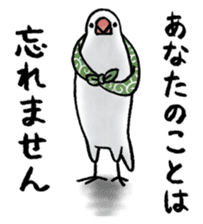 Furoshiki Buncho sticker #6484230
