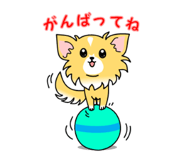 WAN Co. sticker #6485127