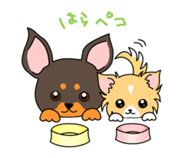 WAN Co. sticker #6485136