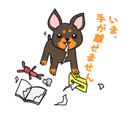 WAN Co. sticker #6485143