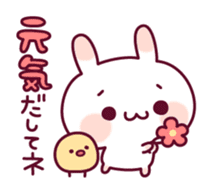 Plain words of a rabbit and the chick sticker #6490478
