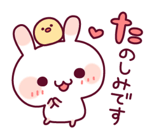 Plain words of a rabbit and the chick sticker #6490510