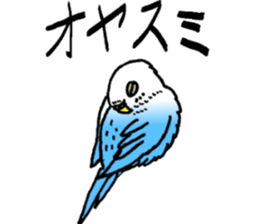 bird!bird! sticker #6491798