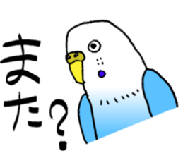 bird!bird! sticker #6491799