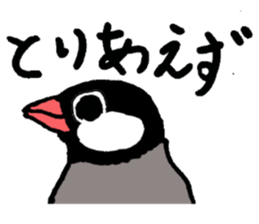 bird!bird! sticker #6491806