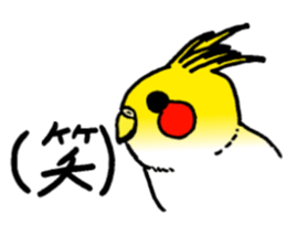 bird!bird! sticker #6491809