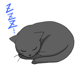 Fanny life sticker #6492301