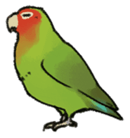 Stickers for Lovebird Lovers sticker #6493393