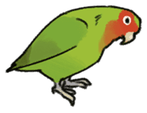 Stickers for Lovebird Lovers sticker #6493396