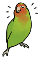 Stickers for Lovebird Lovers sticker #6493398