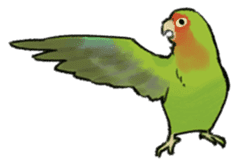 Stickers for Lovebird Lovers sticker #6493403