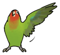 Stickers for Lovebird Lovers sticker #6493404