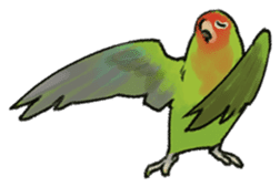 Stickers for Lovebird Lovers sticker #6493406