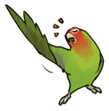 Stickers for Lovebird Lovers sticker #6493407