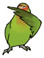 Stickers for Lovebird Lovers sticker #6493408