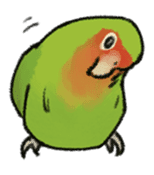 Stickers for Lovebird Lovers sticker #6493409