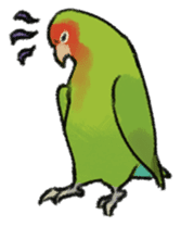 Stickers for Lovebird Lovers sticker #6493410