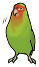 Stickers for Lovebird Lovers sticker #6493414