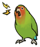 Stickers for Lovebird Lovers sticker #6493416