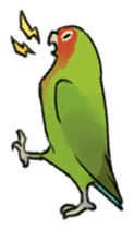 Stickers for Lovebird Lovers sticker #6493417
