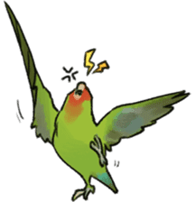 Stickers for Lovebird Lovers sticker #6493418