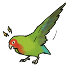 Stickers for Lovebird Lovers sticker #6493419
