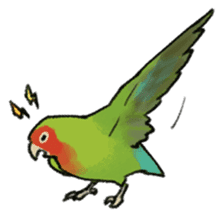 Stickers for Lovebird Lovers sticker #6493419