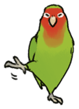 Stickers for Lovebird Lovers sticker #6493421