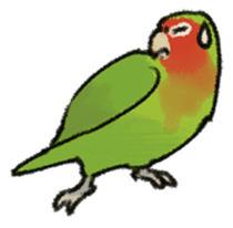 Stickers for Lovebird Lovers sticker #6493422