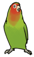 Stickers for Lovebird Lovers sticker #6493423