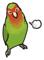 Stickers for Lovebird Lovers sticker #6493426