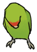 Stickers for Lovebird Lovers sticker #6493427
