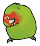 Stickers for Lovebird Lovers sticker #6493429