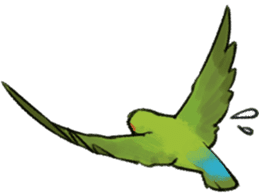 Stickers for Lovebird Lovers sticker #6493431