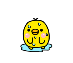chick hiyotama sticker #6493972