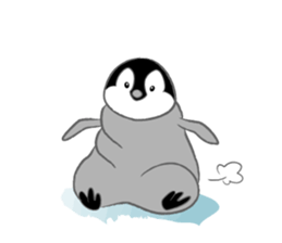 Penguin Colony 2 sticker #6494079