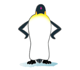 Penguin Colony 2 sticker #6494090