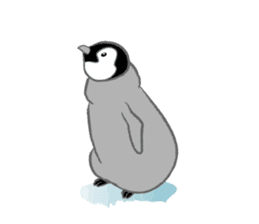 Penguin Colony 2 sticker #6494096