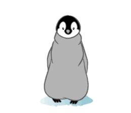 Penguin Colony 2 sticker #6494098
