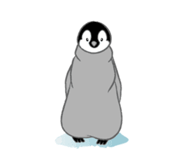 Penguin Colony 2 sticker #6494098