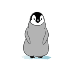 Penguin Colony 2 sticker #6494102
